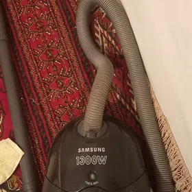 satlyk palesos döwik