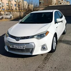 Toyota Corolla 2014