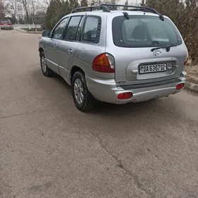 Hyundai Santa Fe 2002