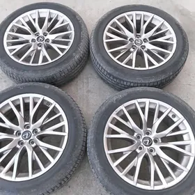 lexcuc rx disga balon kompl