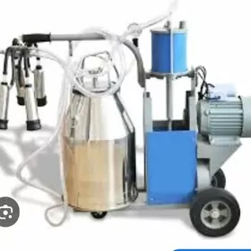 Süýt sagýan enjam