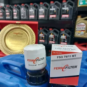 FSO79/11MT VOLKSVAGEN TIGUSAN