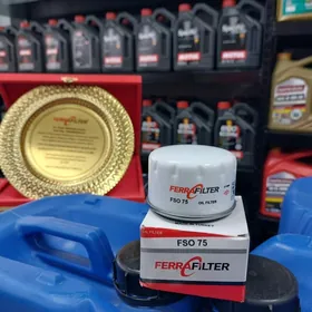 FSO75 RENAULT CLIO 1,4 (05-12)