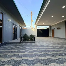 АК АЛТЫН ДОМ Ak Altyn jay