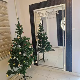 Salona Arenda yer bar