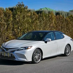 Toyota Camry 2023