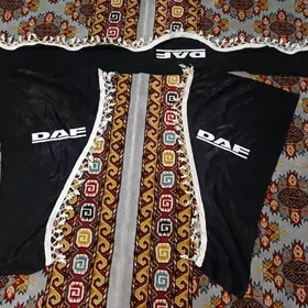 Dafyn oñiniñ bary Tutysy