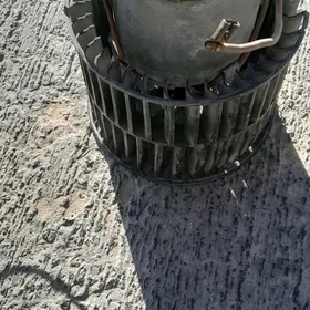 opel vektre pejin matory