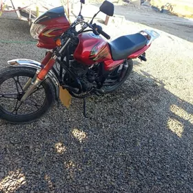 Fekon FK200-14G 2019