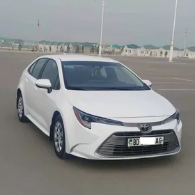 Toyota Corolla 2023