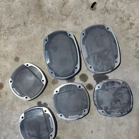 pioneer arginal nikel setka