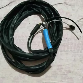 Аргонын  торжысы