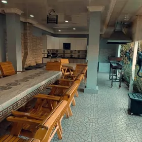 änew plan howly gunlik