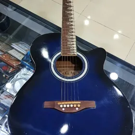 Ocean akustik gitara