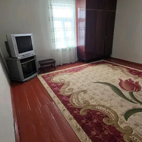 SATLYK TÜRKMEN JAŸ AMATLY BAHA