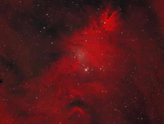 «Roskosmos» kosmosdaky «Roždestwo arçasynyň» suratyny görkezdi