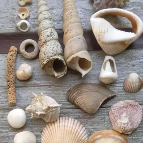 Семинар "Психология Уроки Жизн