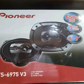 Nikl pioneer 650w-350w-300w
