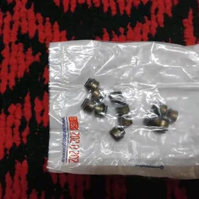 Клапанный сальник v6