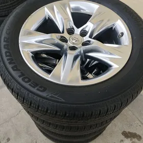 diska pakryska ARGINAL 19lyk