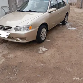Toyota Corolla 2000