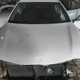 Kapot Öküzkelle kemri 2008-2011ý