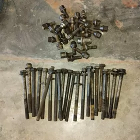 Galowka bolt teker bolt