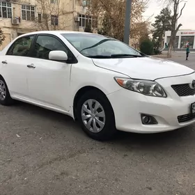 Toyota Corolla 2008