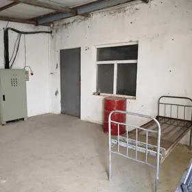 Towuk ferma arenda satlyk