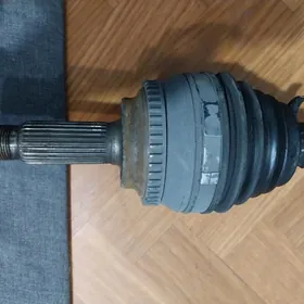 Corolla içgi granat