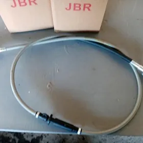 Скор трос орел вектра