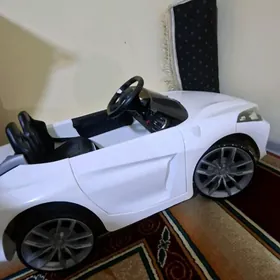 Gyssagly Mashyn hem tigir