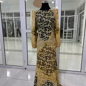 тазе койнекле