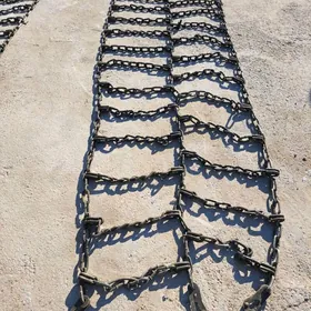 Uly masynyñ doñakcylykda zynjy