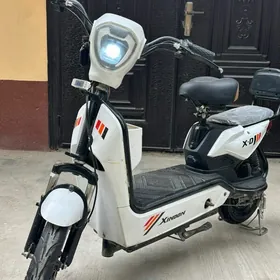 Tokly Mator  (Scooter)