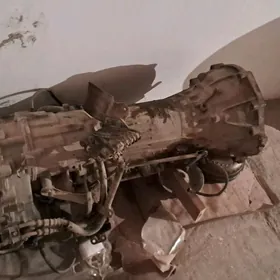 Ady Runner karopga avtamat