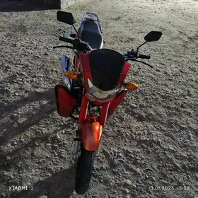 Fekon FK200-14G 2025