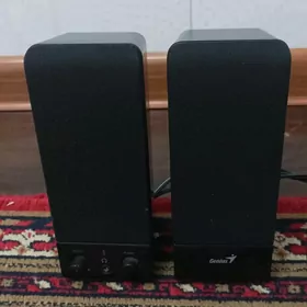 Колонка Genius