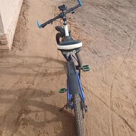 welsoped tigir 26lyk