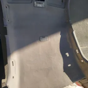 palta kamry patalogu