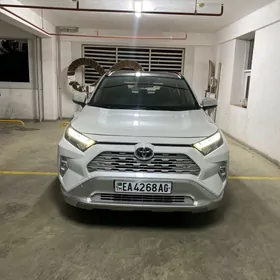 Toyota RAV4 2022