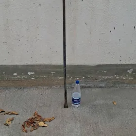 Lom çûÿ sowurÿan