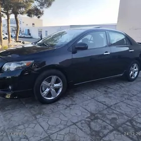 Toyota Corolla 2010