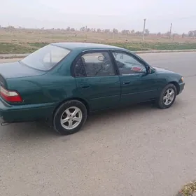 Toyota Corolla 1996