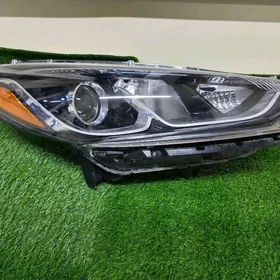 SONATA 19 MODEL FARA