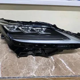 RX 2022 3 LUPA FARA ORIGINAL