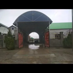 Anew Magtymguly kireyne jay