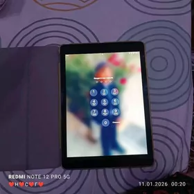 iPad