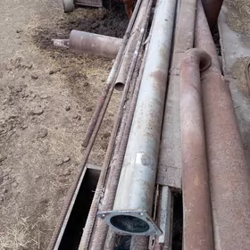 Max Maz dik gulsitel komplek