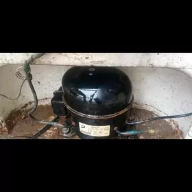 Дивитил Халадиник